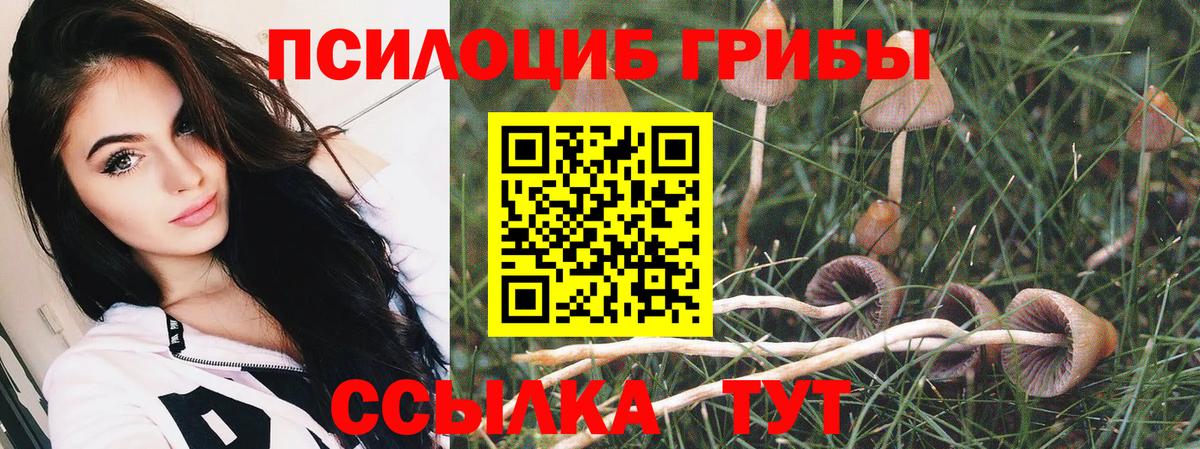 Вязьма  Псилоцибиновые грибы ЛСД  Вход с VPN 
