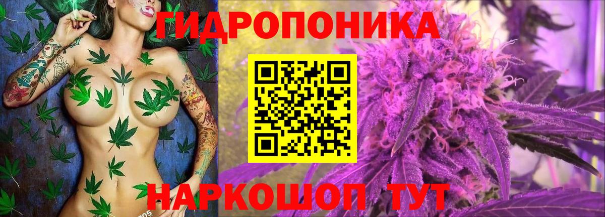 Шишки марихуана сатива  Канабис OG Kush  Вязьма  Вход с VPN  Каннабис планчик 